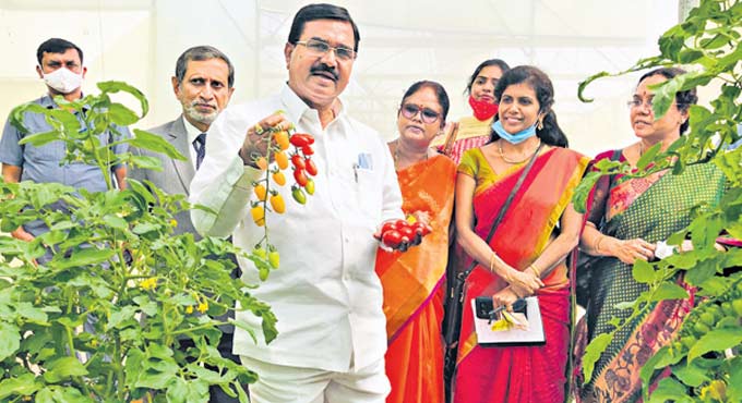 Farmers living with self-respect in TS: Niranjan Reddy