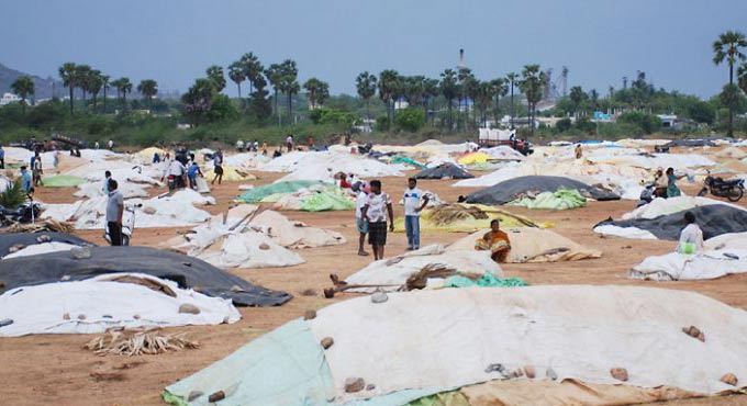 Telangana: Deadline for Yasangi paddy procurement extended till Feb 28