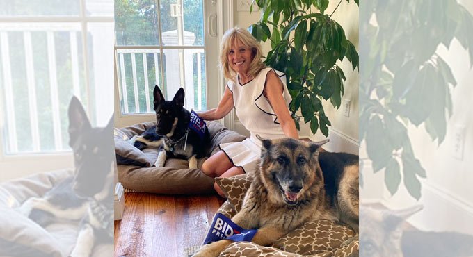 ‘Paw-some’ lives of White House dogs