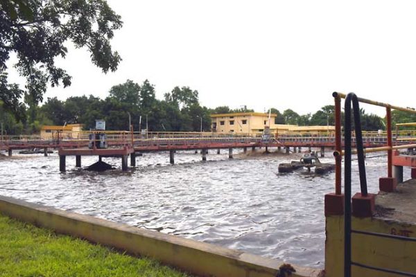 Delhi govt needs at least 3-5 years to upgrade STPs to reduce frothing in Yamuna