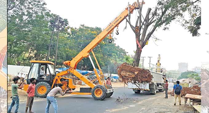 Hyderabad-based Vata Foundation saving trees, nature