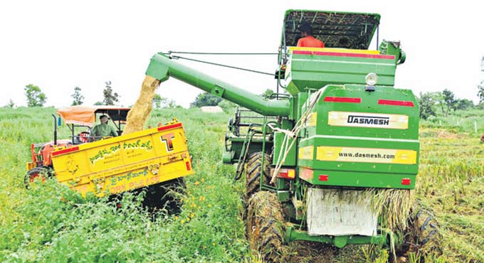 Telangana ryots rely on paddy this Yasangi