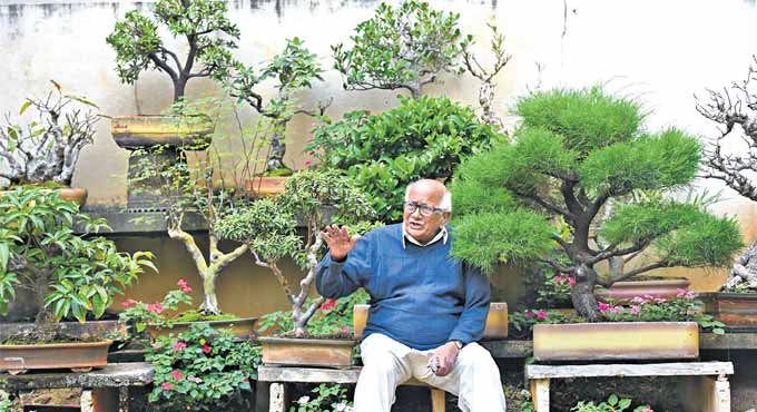 Art of Bonsai captures the imagination of Hyderabadis