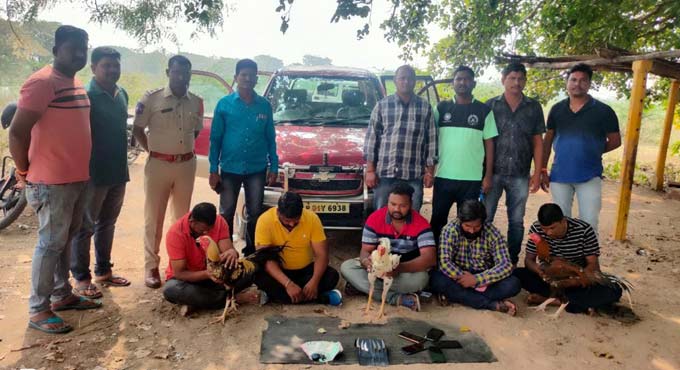 Five held for organising cockfights in Mancherial