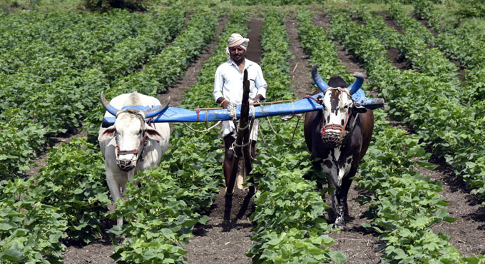 Fiscal deficit to be 7.5 per cent of GDP in FY21