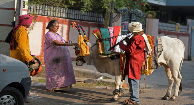 Telangana celebrates Sankranti with traditional fervour