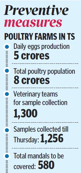 Telangana govt collects samples from poultry farms