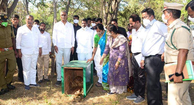 Mouse Deers released into Pocharam Wildlife Sanctuary