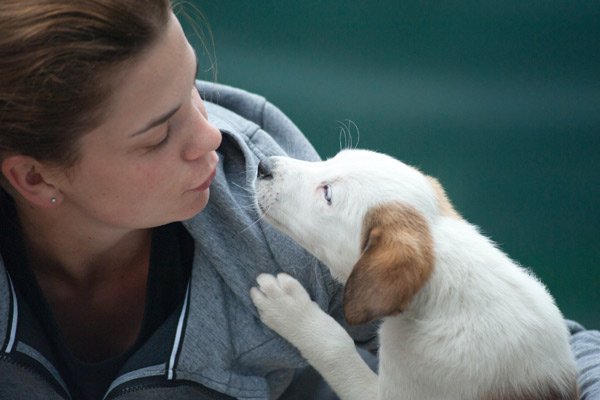 Just became pet parents? Read on to learn how to get it right
