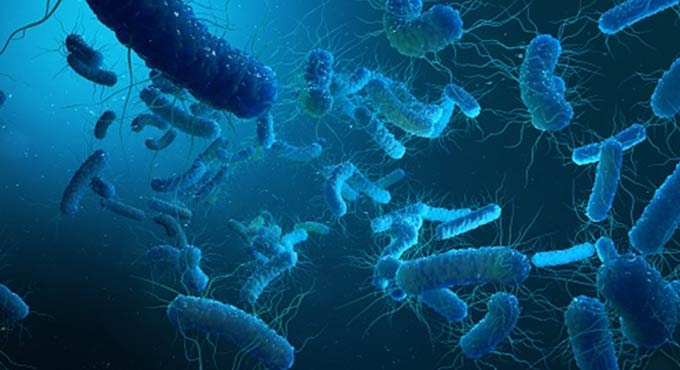 Are good bacteria getting viral infections?