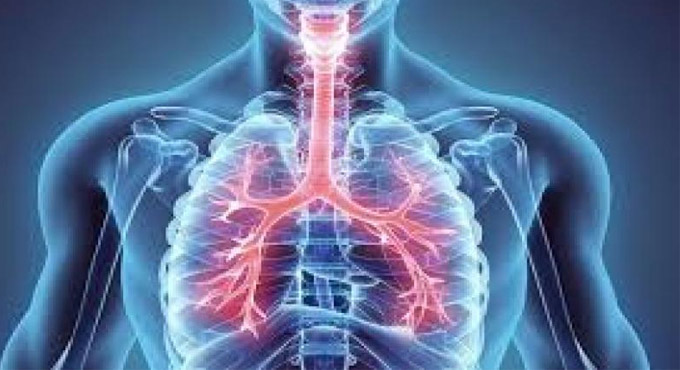 Asthmatics no higher risk of dying from Covid: Study