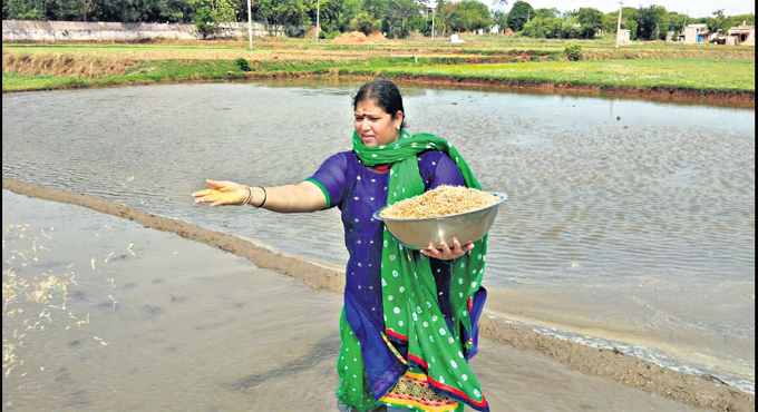 Tahsildar Rajeshwari sticks to her roots