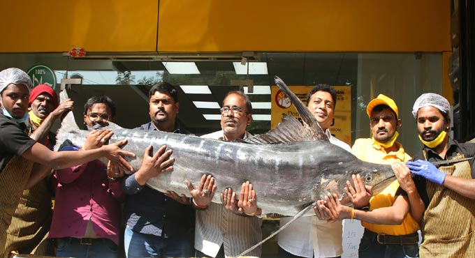 Rare Black Marlin sold for Rs 40,000