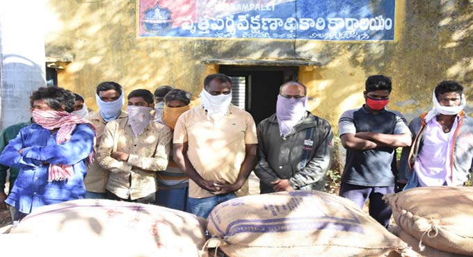 12 held for trading spurious cotton seeds in Mancherial