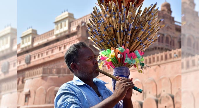 Silchar bamboo to be grown in UP’s Pilibhit