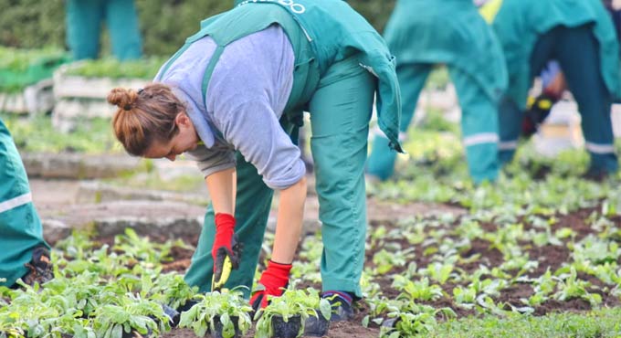 Gardening, walking preserve women’s mobility during aging: Study