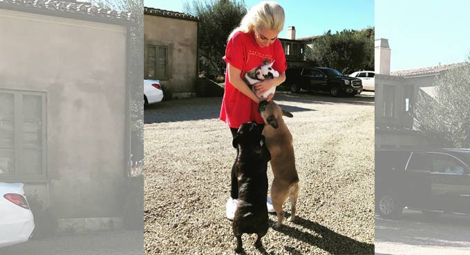Grammy-winning musician Lady Gaga’s dogs return unharmed