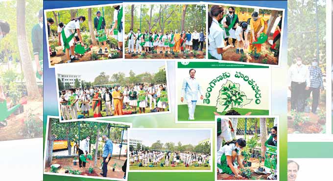 Green drive at DPS Nacharam garners overwhelming response