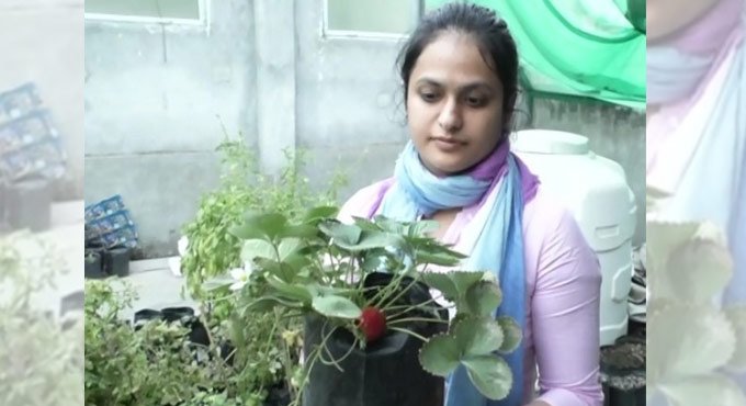 Pandemic turned this law graduate into ‘strawberry girl’