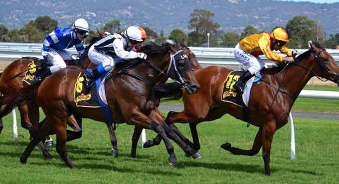 Horse Racing: Tudor Treasure may score in Chennai