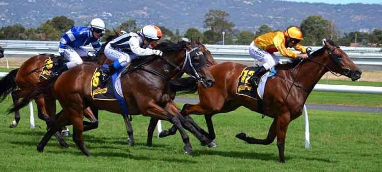 Buttonword impresses in morning trials