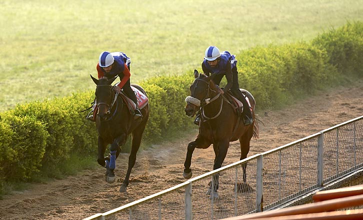 Mighty holds edge for Delhi feature