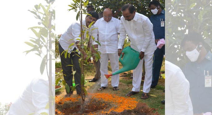 ‘Koti Vriksharchana’ receives warm response