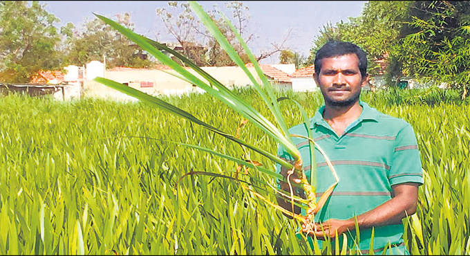ICAR award for Karimnagar farmer