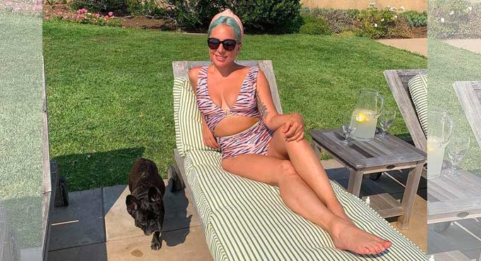 Lady Gaga’s dog-walker attacked, two bulldogs stolen