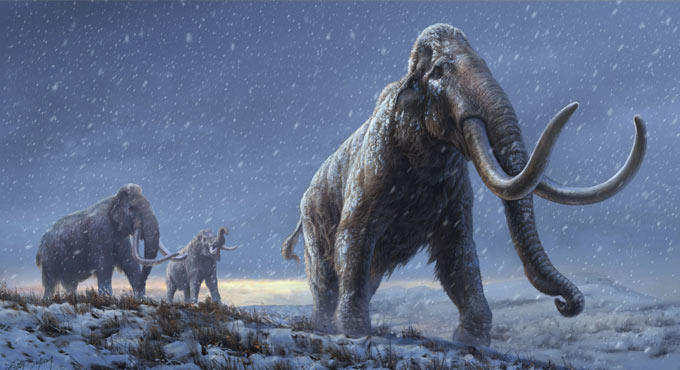 World’s oldest DNA sheds light on how mammoths evolved: Study
