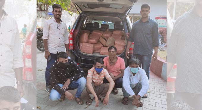 Hyderabad: Inter-state drug peddling racket busted, 80 kg of Marijuana seized