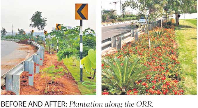 HMDA’s green drive along ORR in full swing