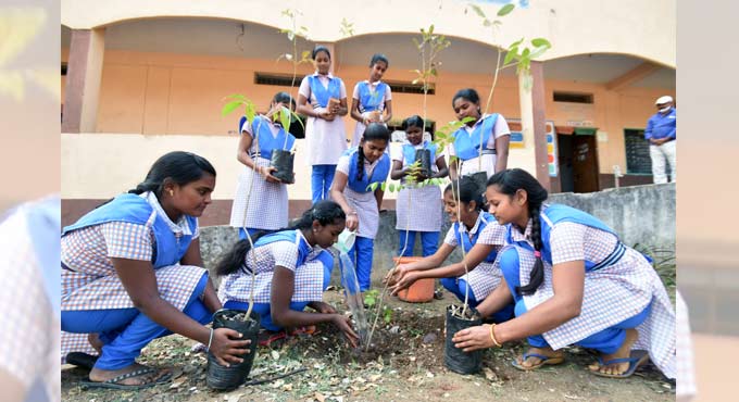 Massive plantation, donation drives mark Telangana CM’s b’day