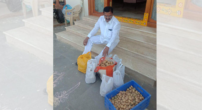 Farmers can reap good profits from potato cultivation: Niranjan Reddy