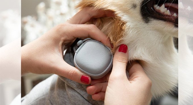 Samsung, LG unveil home appliances that take care of your pet