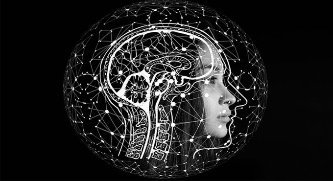 Study discovers specific area of brain prompting desire to overeat