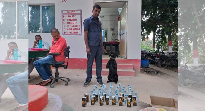 80 canines to graduate from IITA in Moinabad