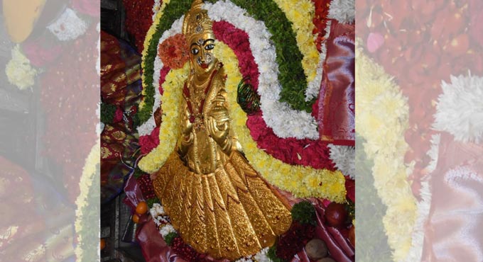 Hyderabad: Saree made of 2.5 kg gold offered to goddess Yellamma