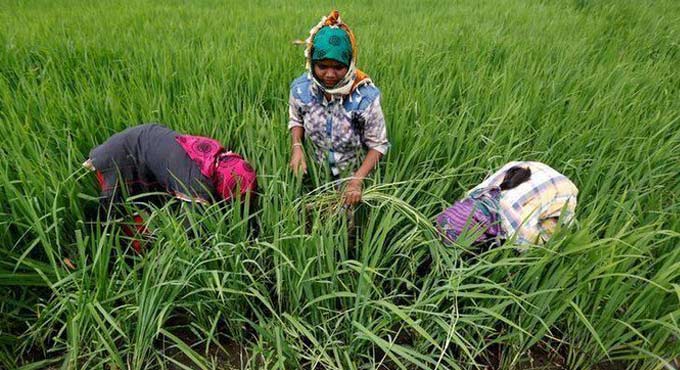 Retail inflation for farm, rural workers eases in January