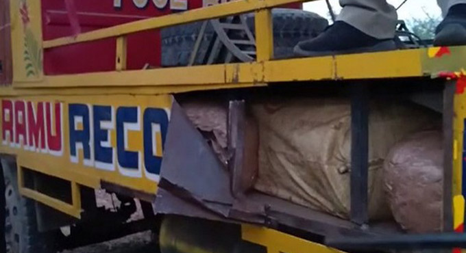 Police seize 800 kg cannabis worth almost Rs 2 cr in Andhra Pradesh