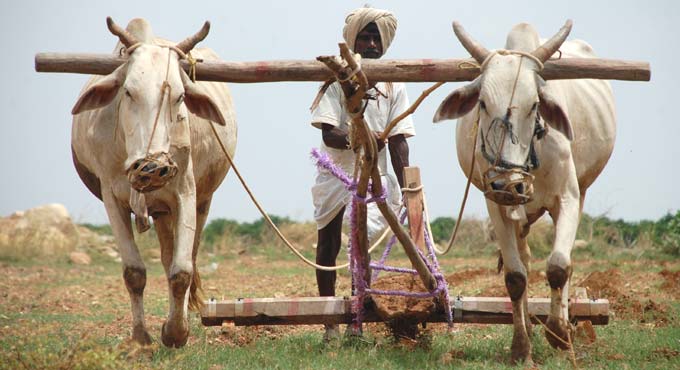 Stage set for phase-II crop loan waiver in Telangana