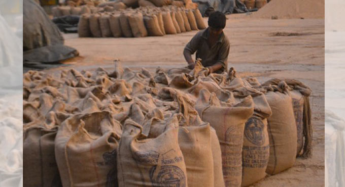 Telangana to increase godown space to 40 lakh tonne