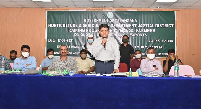 Efforts on to export Jagitial mangoes: Collector