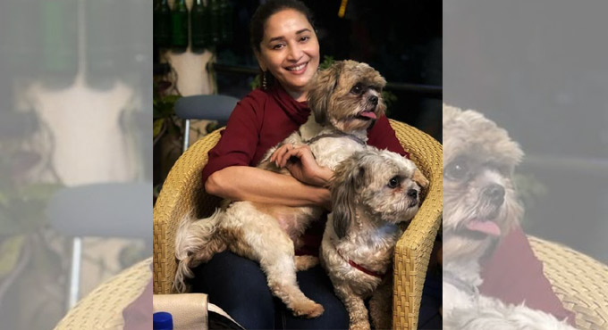 Madhuri Dixit proves she’s a true blue ‘puppy lover’ in latest post