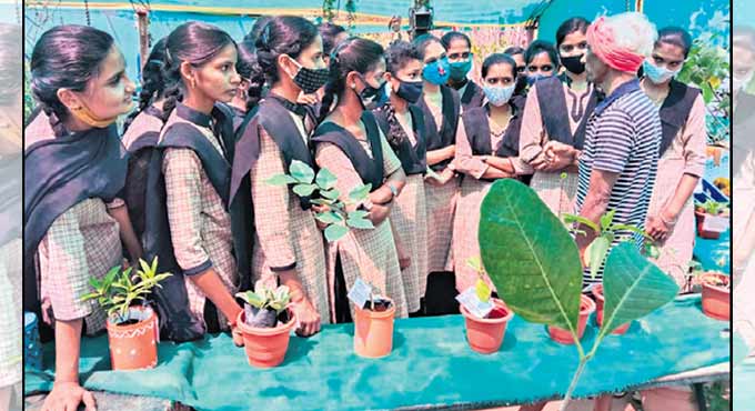 Medicinal plants expo