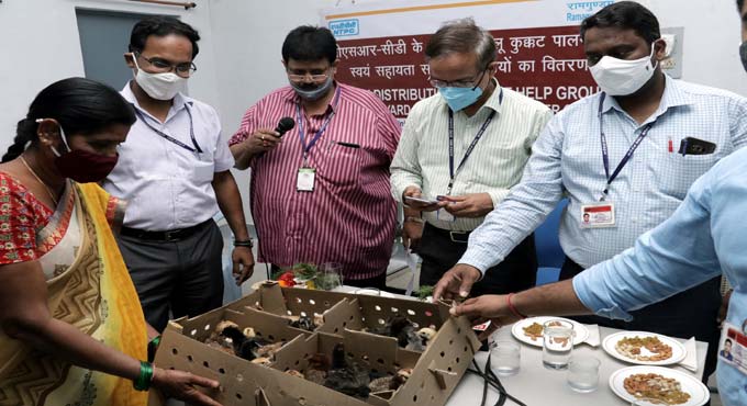 NTPC Ramagundam promotes backyard poultry farming