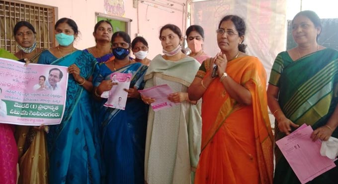 graduate MLC polls