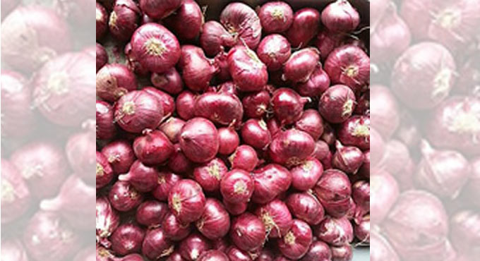 India exports 87,000 tons of onion in Jan-Feb after ban lifted