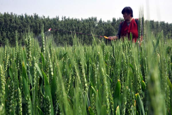 PMFAI seeks policy support for growth of agrochem market