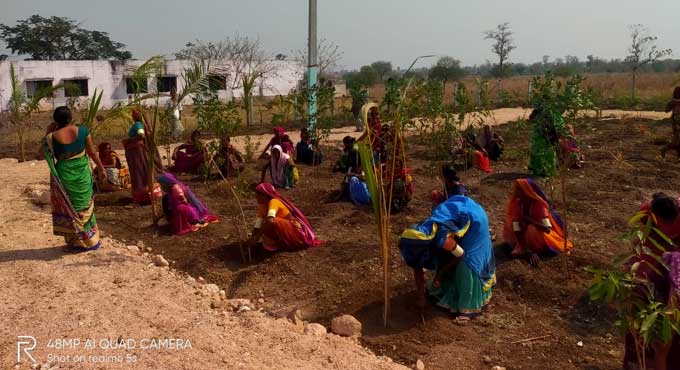Plantation drive